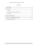 Tiểu luận mạng máy tính nâng cao Tìm hiểu thuật toán quản lý hàng đợi tích cực BLUE