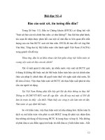 Độ tin tưởng của báo cáo soát xét trong kiểm toán tài chính