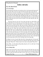 Phương pháp dạy kỹ năng dạy nghe tiếng anh ở trường THCS