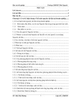 Tổ chức và hoàn thiện công tác kế toán nguyên vật liệu tại công ty cổ phần sản xuất và xuất nhập khẩu việt phát