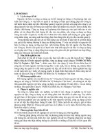 hoàn thiện công tác kế toán nguyên vật liệu, công cụ dụng cụ tại công ty tnhh chế biến gia vị nedspice việt nam