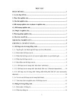 NGHIÊN CỨU SỰ KẾT HỢP CỦA ĐỘNG TỪ “DO” TRONG TIẾNG ANH