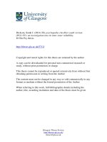 the psychopathy checklist youth version (pcl,yv) an investigation into its inter-rater reliability