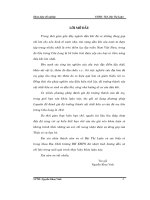 khóa luận nghiên cứu địa hóa đá mẹ