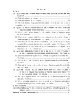hoàn thiện tổ chức và hoạt động của thanh tra ngành kiểm sát nhân dân theo yêu cầu cải cách tư pháp ở việt nam