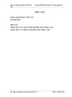 tình hình thực tế tổ chức công tác kế toán tại công ty tnhh đường quảng