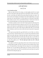 tổ chức kế toán bán hàng và xác định kết quả bán hàng tại cửa hàng kinh doanh chiếu sáng