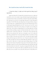 Bảo vệ người làm chứng và quyền miễn trừ người làm chứng