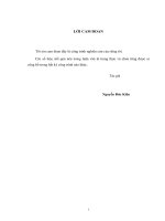 vận dụng quan điểm hoạt động trong dạy học đại số và giải tích 11 thpt