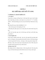 Đề tài tiềm năng dầu khí bể Cửu Long