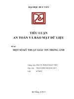 TIỂU LUẬN AN TOÀN VÀ BẢO MẬT DỮ LIỆU MỘT SỐ KỸ THUẬT GIẤU TIN TRONG ẢNH