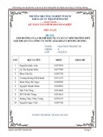 ảnh hưởng của chi phí bảo vệ & xử lý môi trường đến lợi nhuận của công ty chương dương