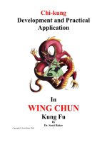 Tài liệu Wing chun kung fu