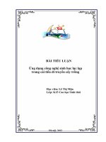 Ứng dụng công nghệ sinh học lục lạp trong cải tiến giống cây trồng