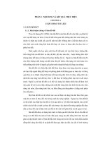 Xây dựng bản đồ đất tại huyện Chợ Mới tỉnh An Giang theo hệ thống phân loại WRB 2006