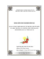 skkn quản lý phát triển đội ngũ tổ trưởng chuyên môn của hiệu trưởng các trường thpt trên địa bàn thành phố lào cai