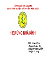 Báo Cáo Hiệu Ứng Nhà Kính_Môn Sử Dụng Năng Lượng Tiết Kiệm Và Hiệu Quả