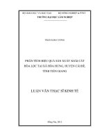 PHÂN TÍCH HIỆU QUẢ SẢN XUẤT XOÀI CÁT   HÒA LỘC TẠI XÃ HÒA HƯNG, HUYỆN CÁI BÈ,   TỈNH TIỀN GIANG