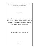 Giải pháp hạn chế rủi ro tín dụng trong cho vay hộ chăn nuôi cá Tra  basa tại ngân hàng phát triển nhà đồng bằng sông cửu long, chi nhánh thành phố Cần Thơ