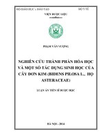 nghiên cứu thành phần hóa học và một số tác dụng sinh học của cây đơn kim (bidens pilosa l., - họ asteraceae)