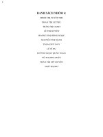 thảo luận marketing chủ đề  skyline tourist –discover the hidden charms