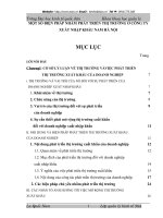 một số kiến nghị nhằm phát triển thị trường xuất khẩu của công ty cổ phần xuất nhập khẩu nam hà nội