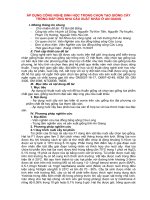 ÁP DỤNG CÔNG NGHỆ SINH HỌC TRONG CHỌN TẠO GIỐNG CÂY TRỒNG ĐÁP ỨNG NHU CẦU XUẤT KHẨU Ở AN GIANG