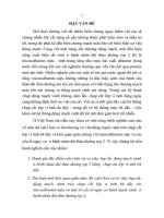 tóm tắt luận án tiến sĩ tiếng việt nghiên cứu đặc điểm tổn thương động mạch vành, mối liên quan với microalbumin niệu và một số yếu tố nguy cơ ở bệnh nhân đái tháo đường