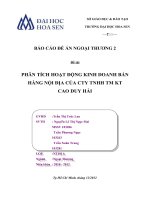 phân tích hoạt động kinh doanh bán hàng nội địa tại công ty tnhh tm kt cao duy khải