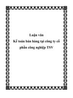 luận văn kế toán bán hàng tại công ty cổ phần công nghiệp tsv - luận văn, đồ án, đề tài tốt nghiệp