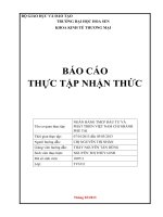 báo cáo thực tập nhận thức ngân hàng thương mại cổ phần đầu tư việt nam chi nhánh phú tài