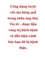 Công dụng tuyệt vời của húng quế trong chữa ung thư, tía tô – dược liệu vàng trị bách bệnh và dấu hiệu cảnh báo bạn đã bị bệnh thận