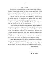 Một số giải pháp góp phần phát triển bền vững các trang trại chăn nuôi trên địa bàn huyện Trảng Bom tỉnh Đồng Nai