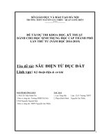 đề tài sâu điện từ đục đất