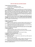 ĐIỀU TRA THẢM THỰC VẬT RỪNG AN GIANG