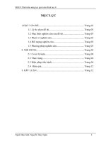 SKKN phát triển năng lực giải toán hình học 8.