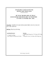 NGHIÊN CỨU KHẢ NĂNG GIẢM THIỂU CO2 CỦA TẢO CÁT QUA VIỆC GIEO SẮT