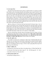 thực trạng và một số giải pháp nhằm hoàn thiện công tác kế toán tiêu thụ và xác định kết quả kinh doanh tại công ty cổ phần nhật nhật tân khóa luận tốt nghiệp