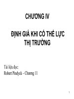 định giá khi có thế lực thị trường