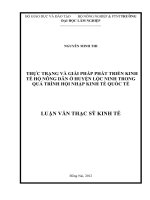 Thực trạng và giải pháp phát triển kinh tế hộ nông dân ở huyện Lộc Ninh trong quá trình hội nhập kinh tế quốc tế