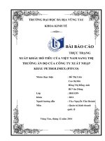 XUẤT KHẨU HỒ TIÊU SANG ẤN ĐỘ