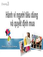 Hành vi người tiêu dùng và quyết định mua