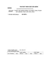 ĐỒ ÁN MÔN HỌC NỀN MÓNG K2004 ĐH BÁCH KHOA ĐN THIẾT KẾ MÓNG NÔNG VÀ MÓNG CỌC