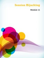 CEHv8 module 11 session hijacking