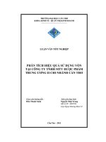 phân tích hiệu quả sử dụng vốn tại công ty tnhh mtv dược phẩm trung ương ii chi nhánh cần thơ - luận văn, đồ án, đề tài tốt nghiệp