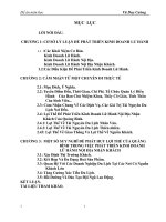 cơ sở lý luận để phát triển hoạt động kinh doanh lữ hành tại Việt Nam