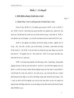 Lý thuyết về sản xuất và lý thuyết về hành vi của doanh nghiệp cạnh tranh hoàn hảo