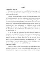 Đồ án tốt nghiệp cơ khí đóng tàu nghiên cứu ma sát và mài mòn của xi lanh động cơ ở các chế độ chuyển tiếp
