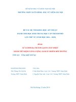 XỬ LÍ RƠM RẠ THÀNH GẠCH CÁCH NHIỆT NHẰM TIẾT KIỆM NĂNG LƯỢNG, GIẢM Ô NHIỄM MÔI TRƯỜNG