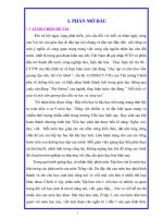 phát huy tính tích cực chủ động và sáng tạo trong phân môn tập làm văn học sinh lớp 3